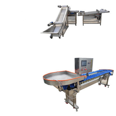 LCD Display Automatic Conveyor Belt Weight Sorting Machine