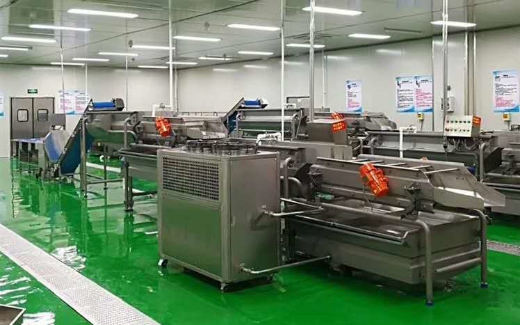 Latest company case about South Korea Fruits &amp; Vegetable Washing Factory