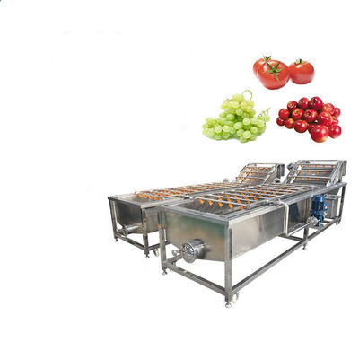 1200kg/H Apple Pear Mango Fruits And Vegetables Cleaning Machines
