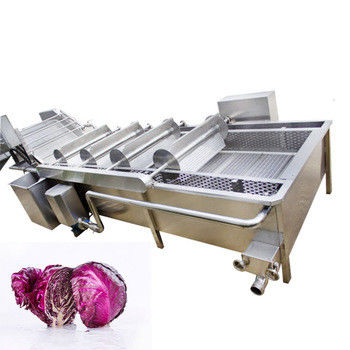Stainless Steel Apple Pear Mango Vegetable And Fruit Washing Machine