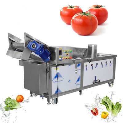 300kg/H Vegetable And Fruit Washing Machine