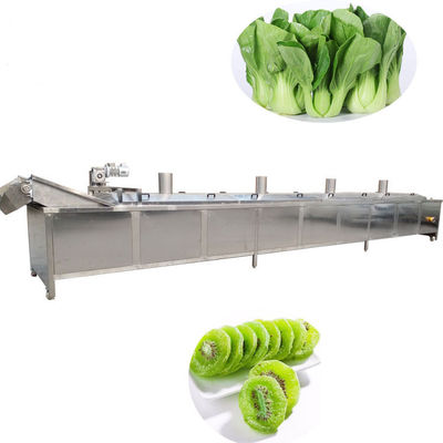 Apple Fruit Vegetable Processing Machines