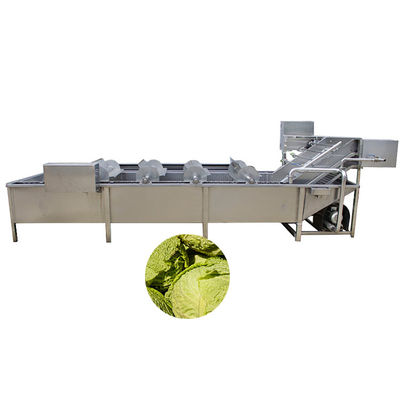 Apple Fruit Vegetable Processing Machines