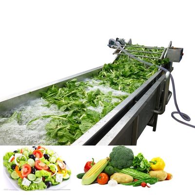 500kg/H Bubble Drying Vegetable And Fruit Cleaner Machine