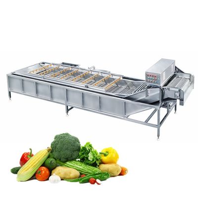 500kg/H Bubble Drying Vegetable And Fruit Cleaner Machine