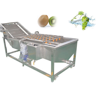 1000kg/H Stainless Steel Apple Pear Vegetable And Fruit Washing Machine