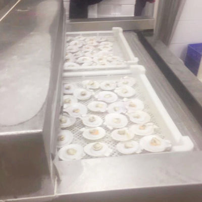 Fast Freezing Meatball Dumplings IQF Tunnel Freezer Storage Room