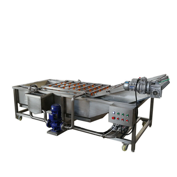 Industrial Fresh Dry Dates Vegetable And Fruit Washing Machine