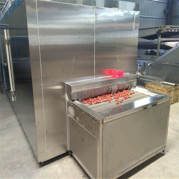 100kg/Hour Food Freezing Machine