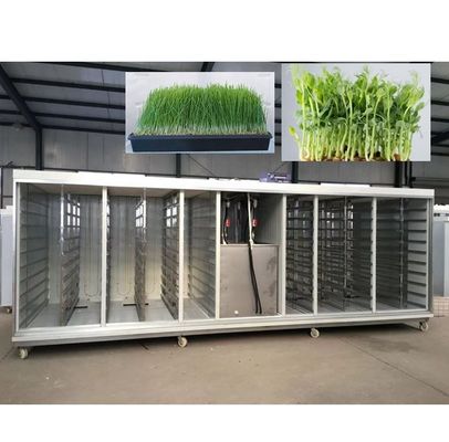 Automatic Hydroponic Fodder Machine For Dairy Livestock / Barley Sprout Machine