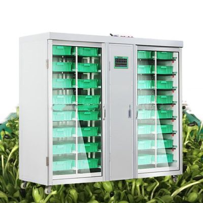 Grass Peanut Hydroponic Fodder Machine 250kg/Day Commercial Sprouting Equipment